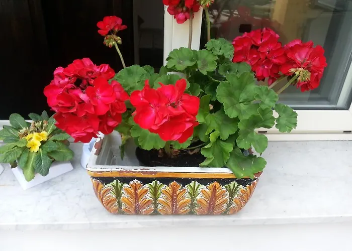 La Casa Di Luigi * Katania